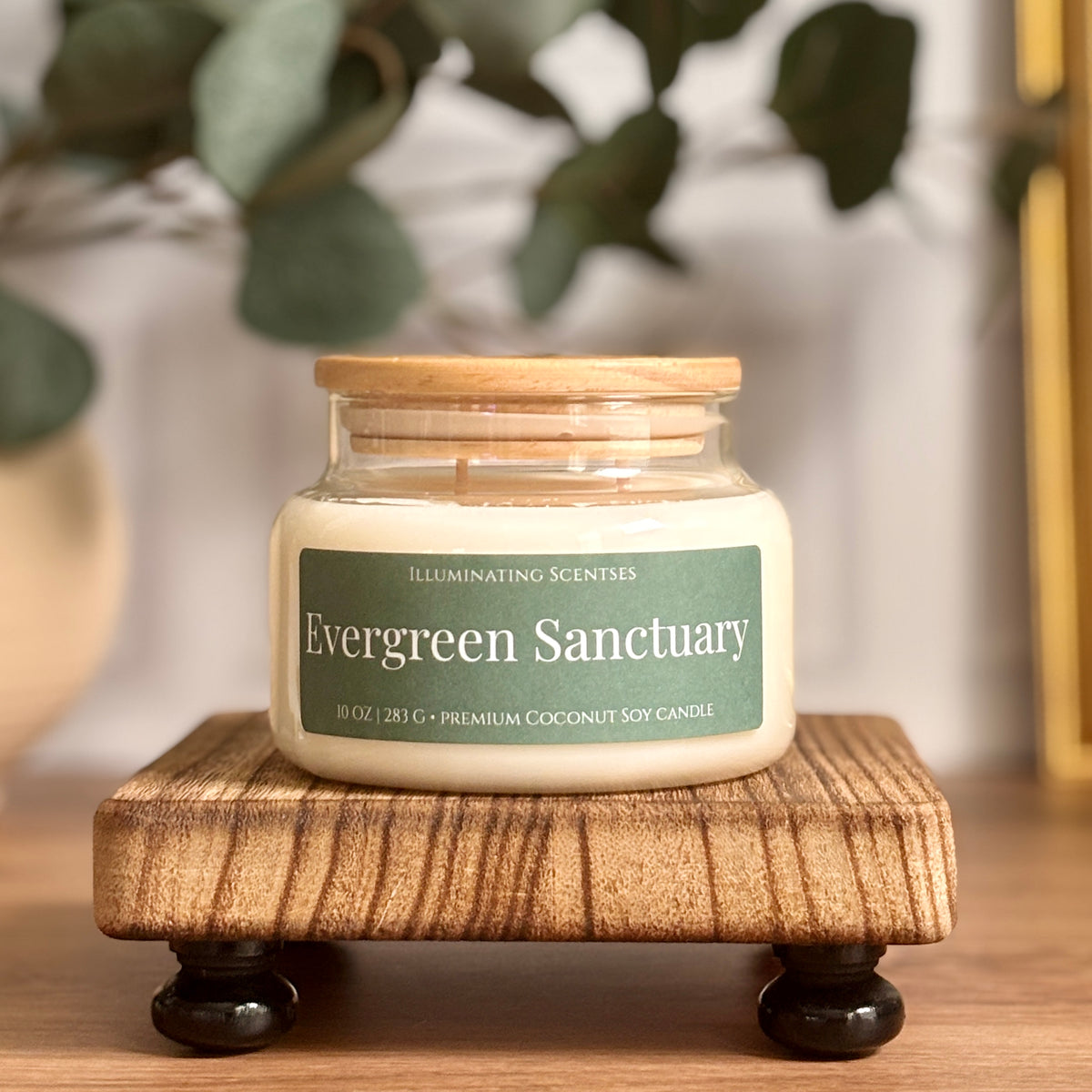 Evergreen Sanctuary | Cypress + Evergreen Coconut-Soy Candle