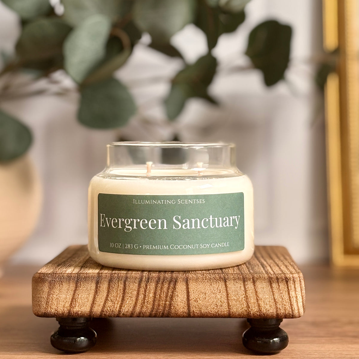 Evergreen Sanctuary | Cypress + Evergreen Coconut-Soy Candle